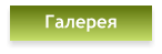Галерея